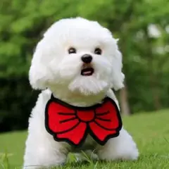 Item thumbnail for item 197f9c94-c069-4984-b817-99feba12f96d