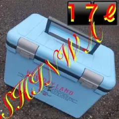 軽量 保冷 17ℓ シンワ クーラーボックス ピクニックバスケット ホリデー伸和