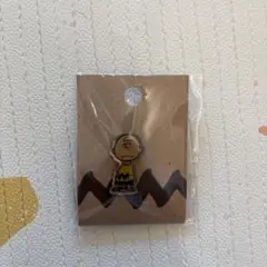 スヌーピーミュージアム チャーリーブラウン ピンバッジ ピンズ 恋ってすばらしい