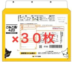 Item thumbnail for item 96d7603d-8da8-4984-86eb-7697a3864de0