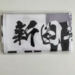新しいカギ　学校かくれんぼ　アイスタオル　冷感タオル　非売品　新品未使用