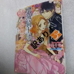 壊滅騎士団と捕らわれの乙女 3