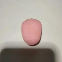 舌　模型
