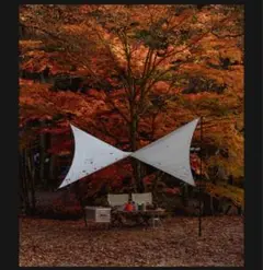 【美品】Telo Tarp テーロタープlooks ルックス　マスタード looks | Telo