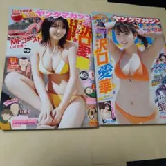ヤングマガジン2021年No.6+2022年No.31