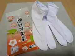 Item thumbnail for item 32c22c30-f433-433f-a8eb-d09845ef7111