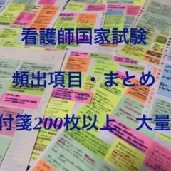 お盆価格！取引150件以上★人気★看護師国家試験対策