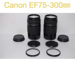 Item thumbnail for item 6406fb86-5b62-4574-9218-6c5082c97fde