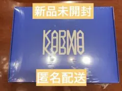 【新品未開封】Stray Kids　KARMA　CEREMONYver　アルバム