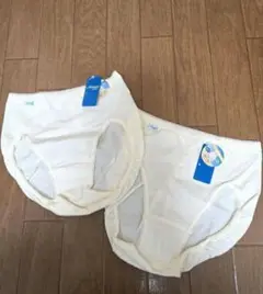 トリンプ　スロギー 　ジャストウエスト　Mサイズ　バニラ　新品未使用　2枚