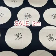 SALE 2m あんぱんドット ブラック地 オックス