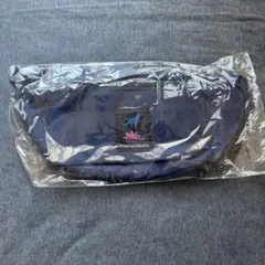 【新品未使用品】chiiiibag スウェードウエストバッグ 2025年最新】chiiiibag ウエストの人気アイテム - メルカリ