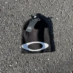 Item thumbnail for item 8f4f098d-1d59-4337-9302-6e8557619f77