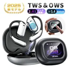 Item thumbnail for item 24f8a549-eb93-4bec-8954-503e9c74b962