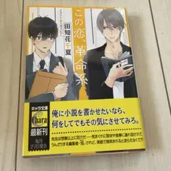 この恋、革命系　　他10冊まとめい売り