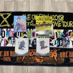 ONE OK ROCK ワンオクロック DVD