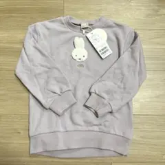 Item thumbnail for item 8ca98872-f7e7-4eb0-adec-239315153d39