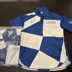 Item thumbnail for item 48a474fc-27cb-49c8-9191-7af75531f031