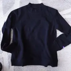THE NORTH FACE PURPLE LABELのトレーナー　Mサイズ 2025年最新】THE NORTH FACE PURPLE LABEL メンズ トレーナー