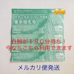 ナガシマスパーランド 乗車優先券4枚