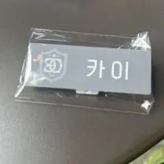 smtown live 2025 exoカイ　ランダム　ネームバッジ