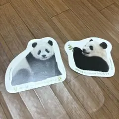 シャンシャン　ポストカード2枚セット