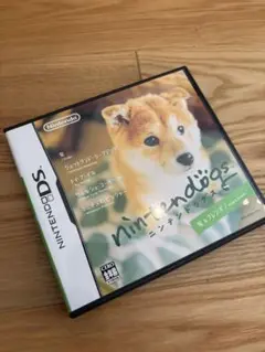ニンテンドックス　DS