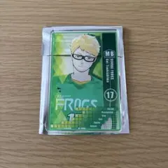 ハイキュー ステータスカードコレクション