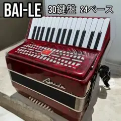 2025年最新】BAI-LE アコーディオンの人気アイテム - メルカリ