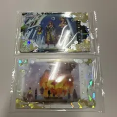 ワンピース カード2種類