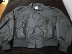 Item thumbnail for item 5f7d1e51-316b-4d86-a154-793ffb6dd738