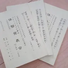 パワーヘルス　体験発表会 資料