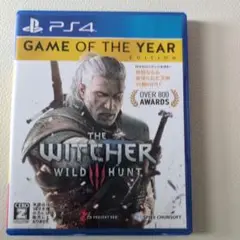The Witcher 3: Wild Hunt ウィッチャー3