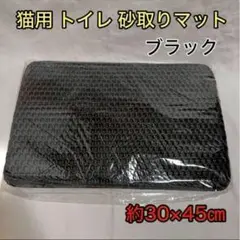 Item thumbnail for item 872fa8dc-8cb0-4e05-8588-cc042eb76aff