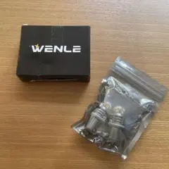 WENLE ウエンレS25 シングル ホワイト5500k DC12V 2本入り
