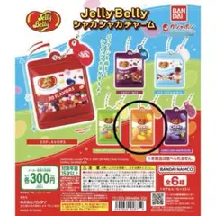 Jelly Belly ジェリーベリー　シャカシャカチャーム　ガチャ　新品