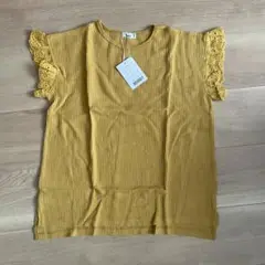 Item thumbnail for item 30ff62d6-2c8c-42dd-bffb-abf92d5d34a4