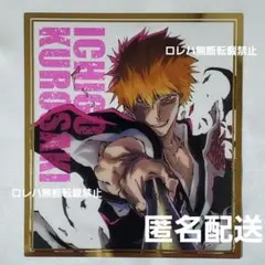 BLEACH WORLD クリアミニ色紙コレクション〈黒崎一護〉