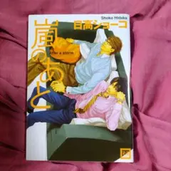 嵐のあと