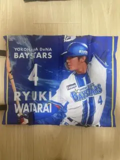 DeNA BAYSTARS 度会隆輝　クッション