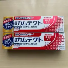 カムテクト　コンプリートケアEX 105g 2個セット