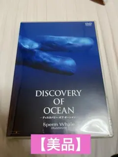 DISCOVERY OF OCEAN マッコウクジラ
