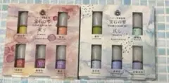 新品未使用 パジコレジン用着色剤 宝石の雫 クリアカラーセット［実り］[兆し]