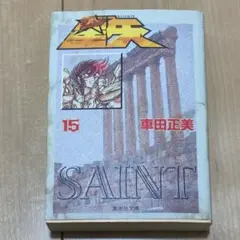 聖闘士星矢15 集英社文庫版