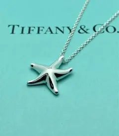 TIFFANYu0026Co. ãã£ãã¡ã㌠ã¹ã¿ãŒãã£ã·ã¥ ã·ã«ããŒããã¯ã¬ã¹ 925