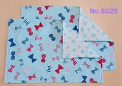 新品ランチョンマット2枚セット《No.SG25 》