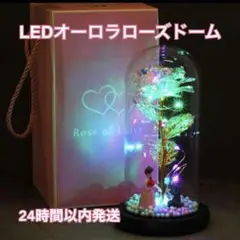 [最終値下げ] LEDオーロラローズドーム　人形付き