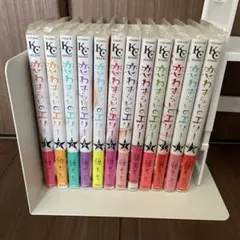 恋わずらいのエリー 全巻セット