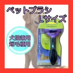 Item thumbnail for item dc6ee7a1-c989-49ba-86dc-703a2229f4a7