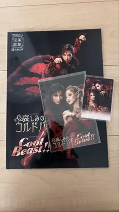 宝塚 花組 悲しみのコルドバ Cool Beast!! パンフレット 他3点
